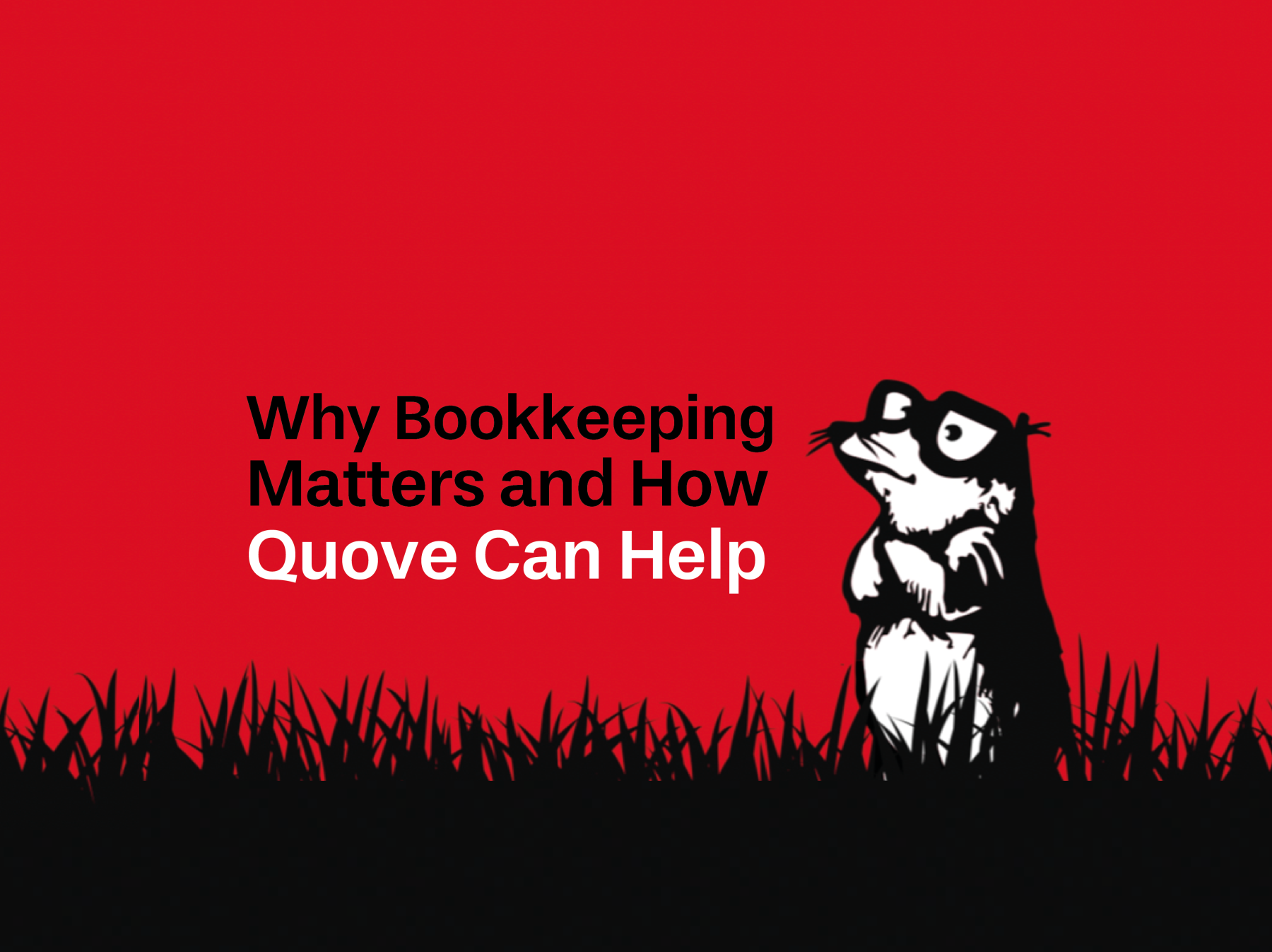 Why Bookkeeping Matters and How Quove Can Help image
